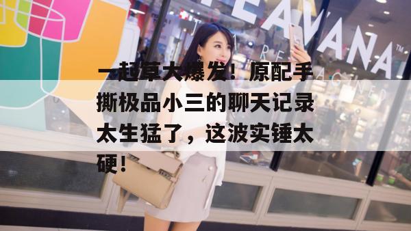 一起草大爆发！原配手撕极品小三的聊天记录太生猛了，这波实锤太硬！
